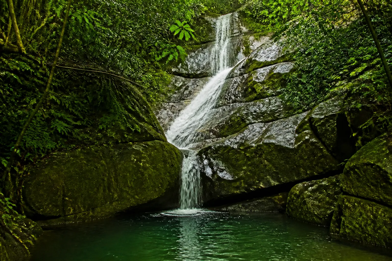 Cachoeira em meio à floresta